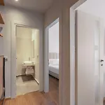 Palma 4*